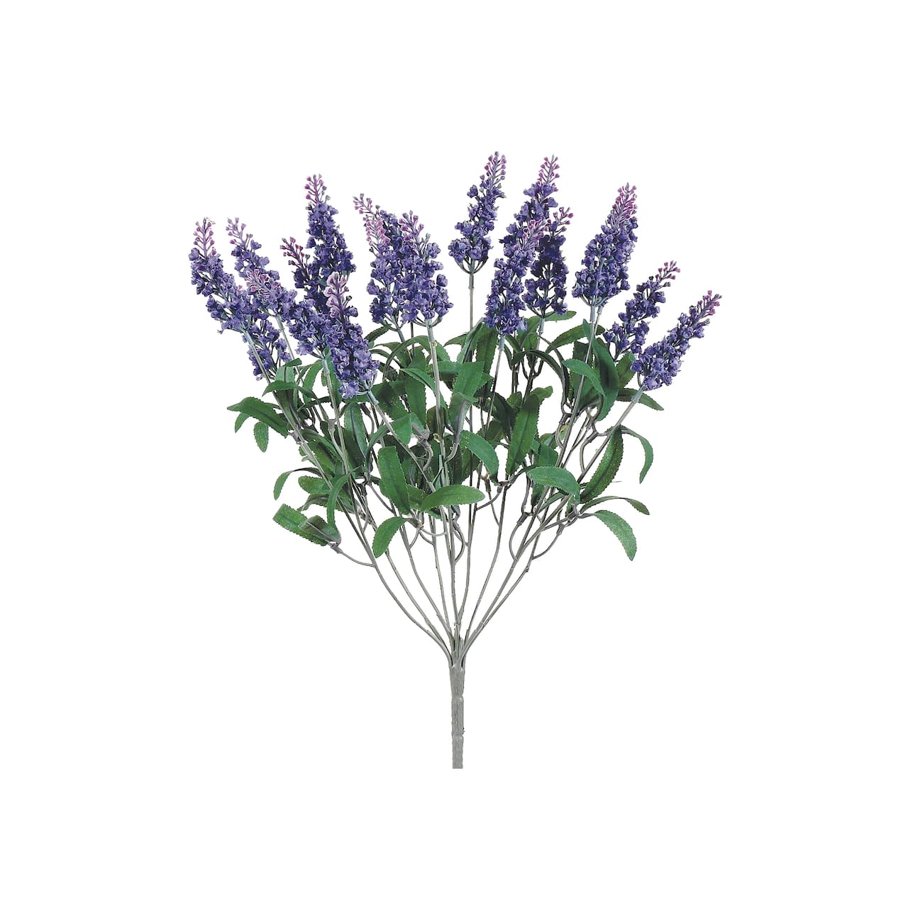 24 Pack: Lavender Bush